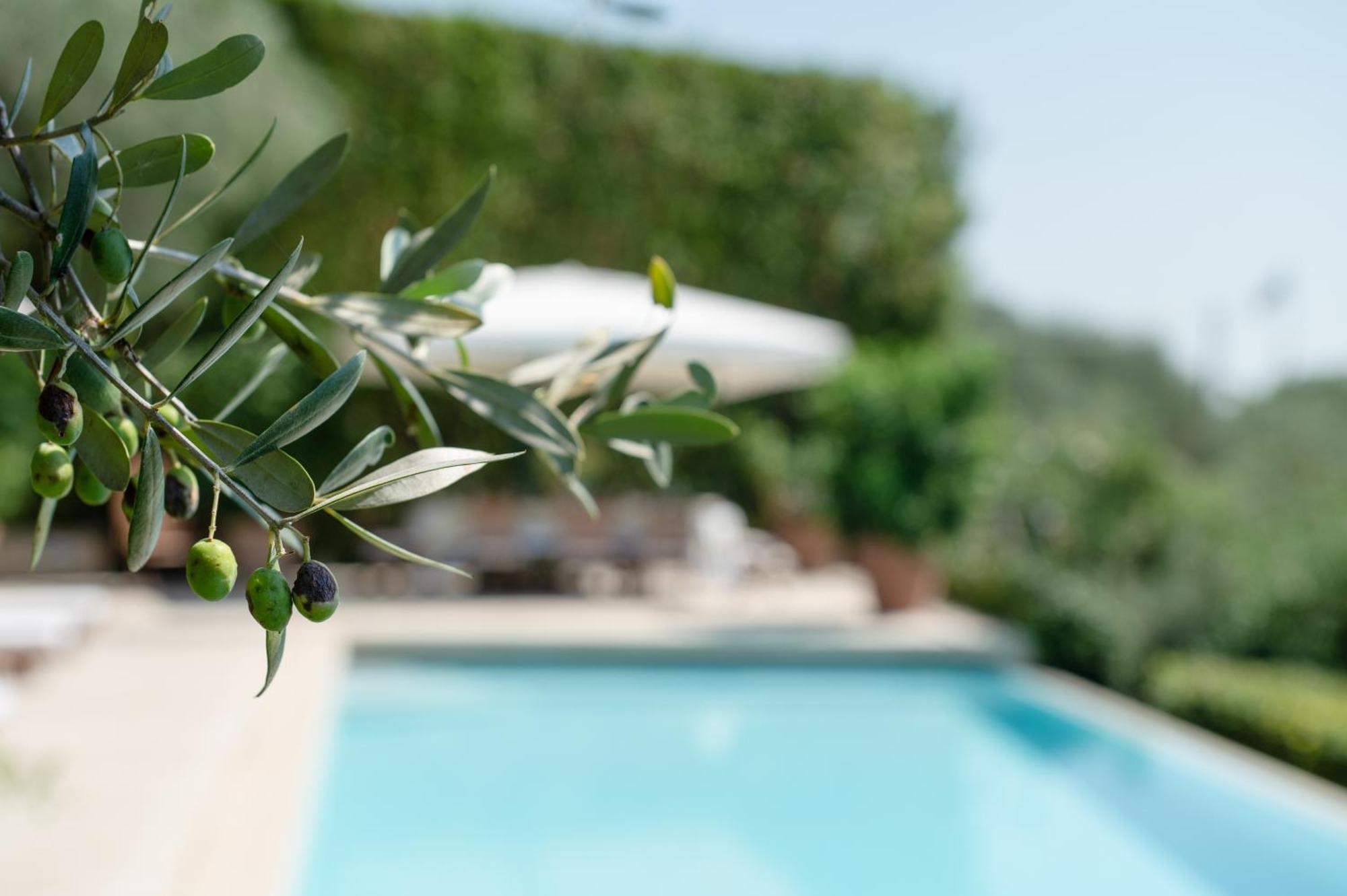 Villa Eden Forte Dei Marmi With Private Infinity Pool Santa Lucia  Exteriér fotografie
