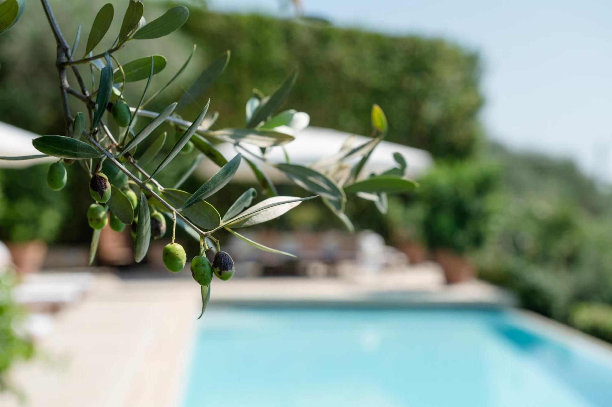 Villa Eden Forte Dei Marmi With Private Infinity Pool Santa Lucia  Exteriér fotografie